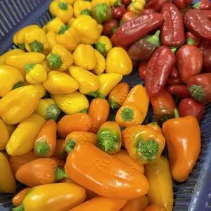 Sweet Lunchbox Peppers