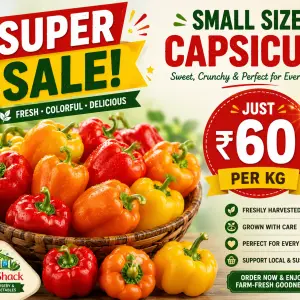 Super Sale - Small Colored Capsicum