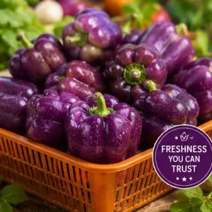 Purple Capsicum (Purple Bell Pepper)