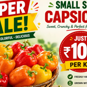 Super Sale - Small Colored Capsicum